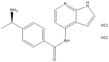 Y-39983 dihydrochloride Structure